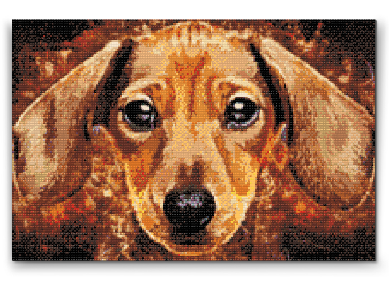 Diamantové malování - Dachshund head